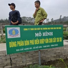  Sử dụng phân bón Phú Điền khép kín cho rau su su Tam Đảo